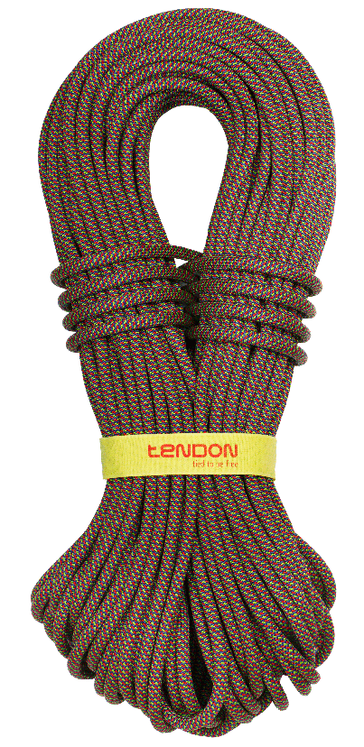  TENDON Master 9.4