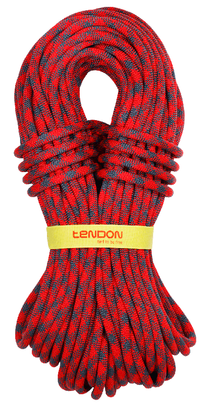 TENDON Trust 11.0